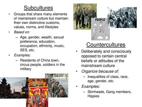 Defining Subcultures and Countercultures