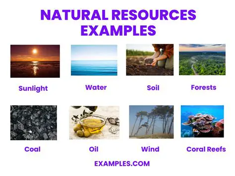 Definition of Natural Resources