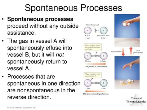 Definition of Spontaneous Processes