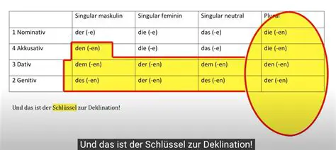 Deklination von Adjektiven mit dem bestimmten Artikel