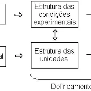 Delineamento do Experimento
