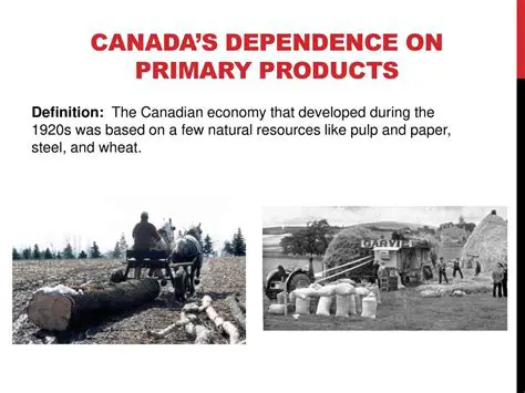 Dependence on a Few Products