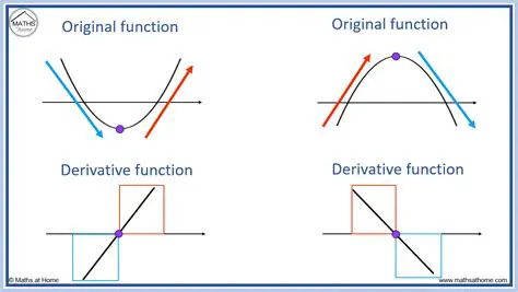 Derivation of the Function