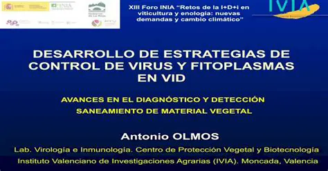 Desarrollo de estrategias de control