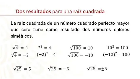 Descartando a Raiz Negativa