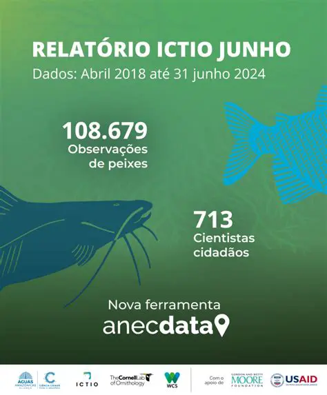 Desenvolvimento de novas ferramentas