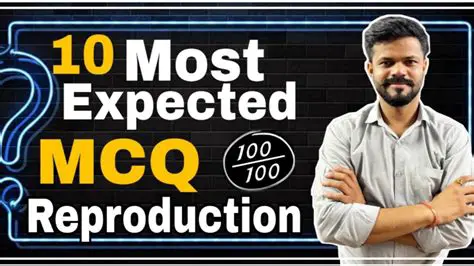 Detailed Explanation of MCQ