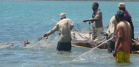 Determination of district minimum wages for labor fishermen
