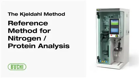 Determination of Protein Content in Cattle Shredded Various Brands with the Kjeldahl Method