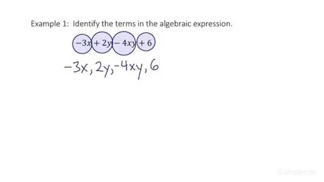 Determining the Number of Terms in an Expression
