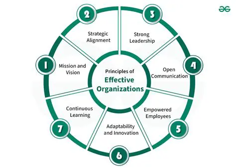 Develop a clear and effective organizational structure