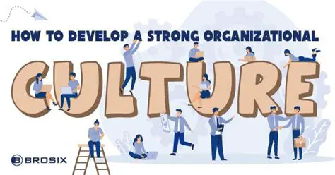 Develop organizational culture
