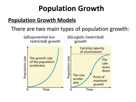 Developing more accurate population growth models