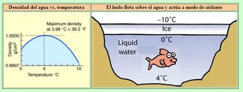 Diferencias en la densidad del agua