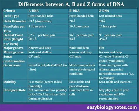 Difference Between A and B