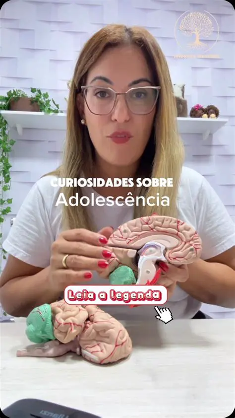 Dificuldade em entender o sistema