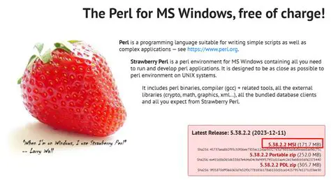 Direct Link to Strawberry Perl Website