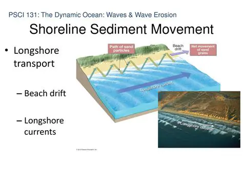 Direction of shoreline movement