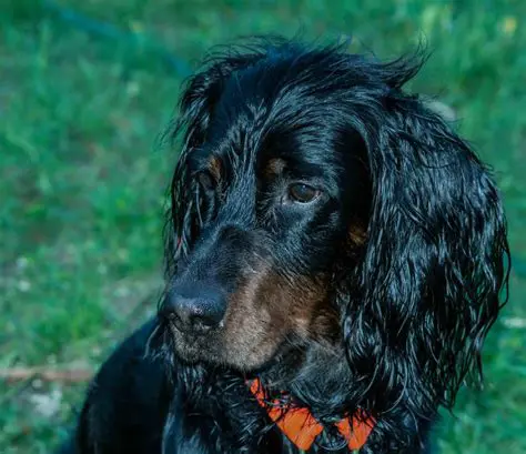 Discovering the Best Content