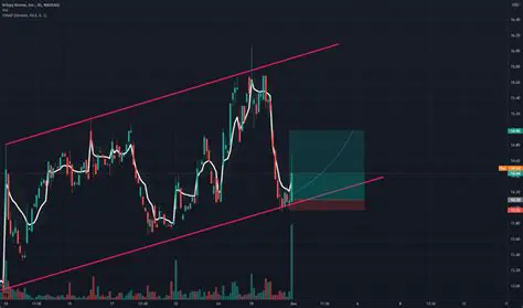 Dnut Stock: Navigating the Market and Understanding Investment Opportunities