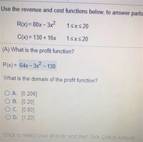 Domain of the Profit Function