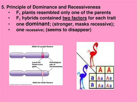 Dominance and Recessiveness