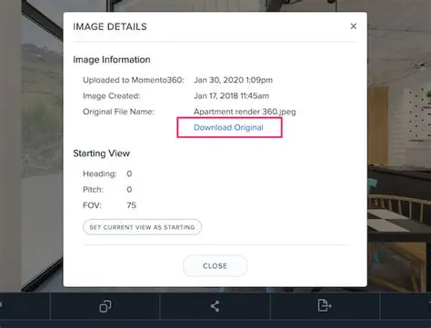 Download original large images