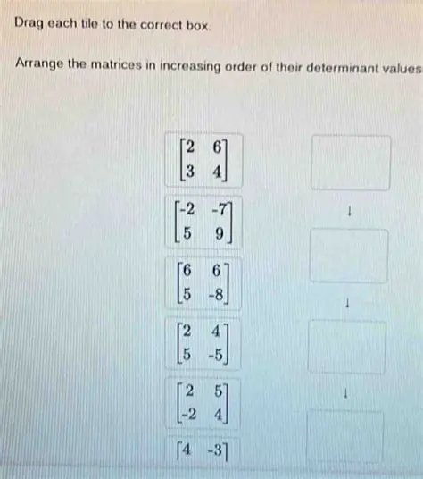 Drag Each Tie to the Correct Box