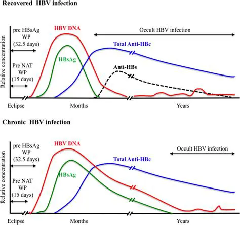 Early detection of HBV infection