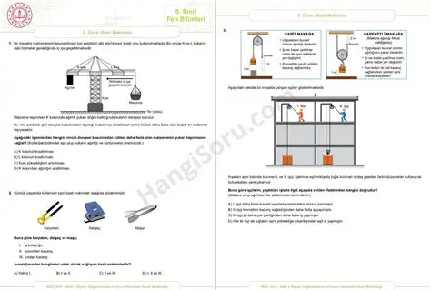 EBA Testi ve Basit Makineler