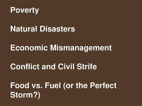 Economic Mismanagement and Poverty