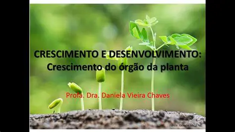 Efeitos no Crescimento e Desenvolvimento