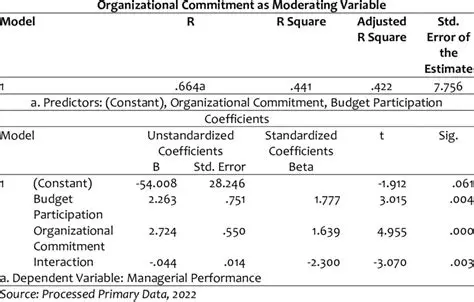 Effect of Budget Participation on Managerial Performance