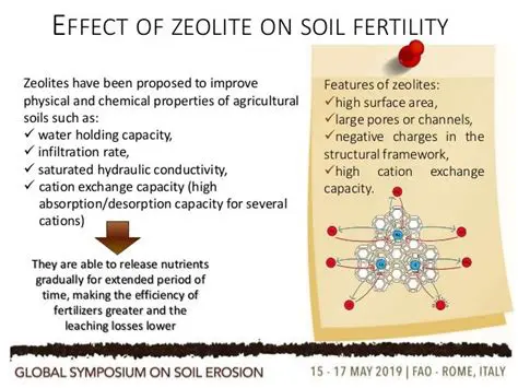 Effect of Zeolite Minerals on Peat Soil