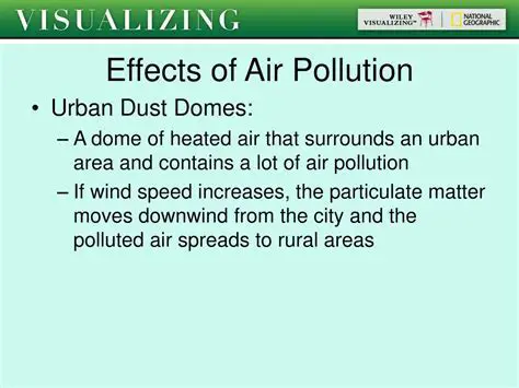 Effects of Pollution Domes