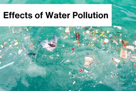 Effects of Water Pollution on Marine Ecosystems