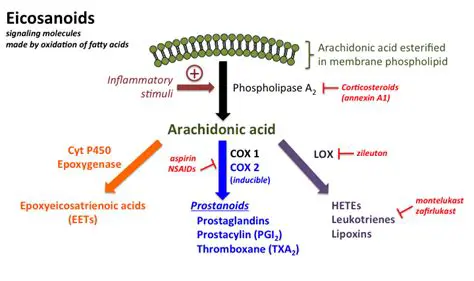 Eicosanoids and Inflammation