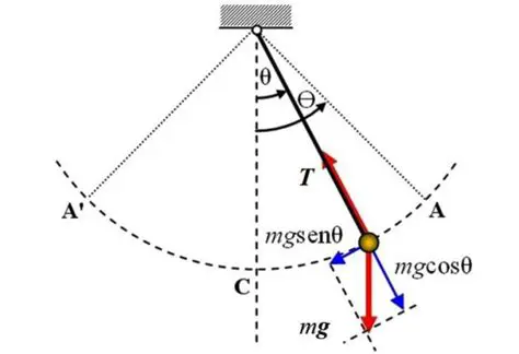 Ejemplos de Movimiento Pendular en la Naturaleza