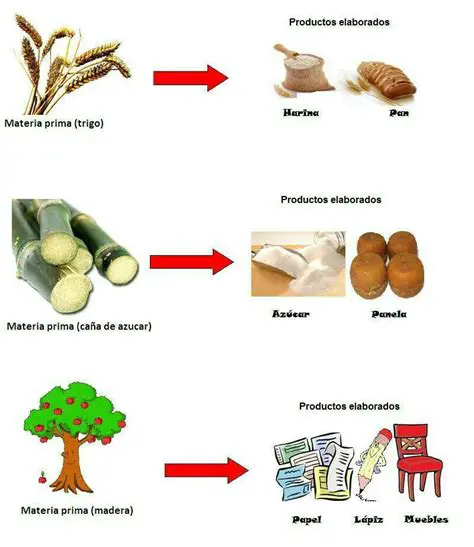 Ejemplos de Productos que se Pueden Elaborar con Cada Materia Prima