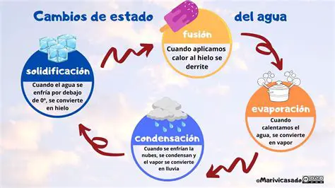 El Cambio de Estado del Agua