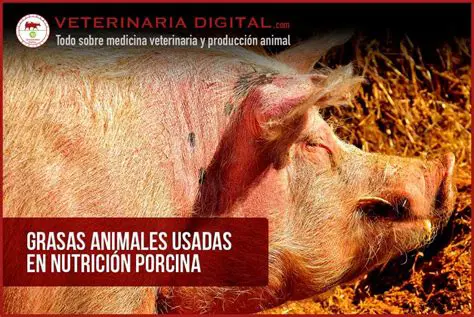El desarrollo de la capa de grasa en los animales