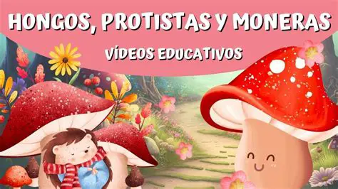 El intercambio de gases en las moneras y hongos