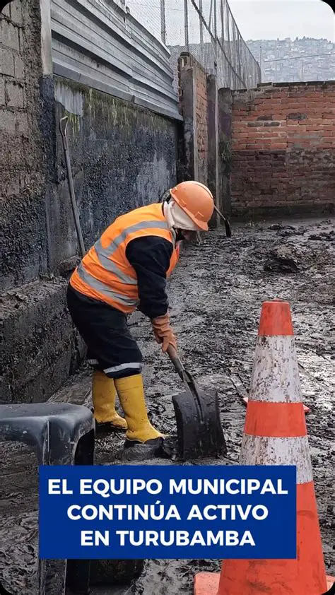 El Momento en el que se Muestra Muy Listo