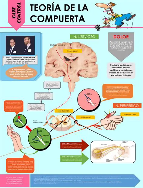 El papel del dolor en la vida humana