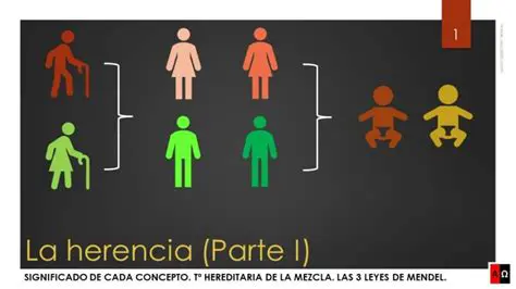 El Problema de la Herencia Mezclada