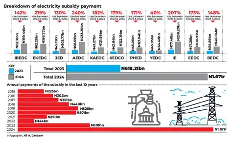 Electricity Subsidy Shopping