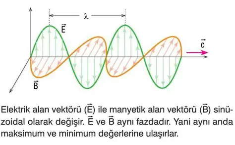 Elektrik ve Manyetik Alanlar