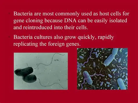 Eliminating foreign bacteria