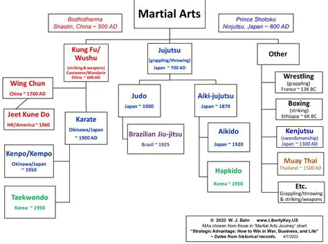 Embark on a journey through the world of martial arts cinema