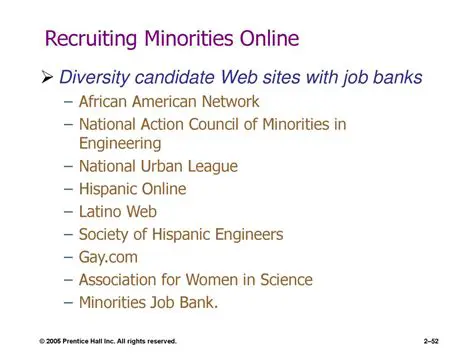 Employment Opportunities for Minorities